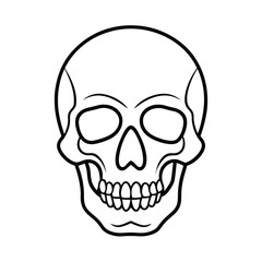  skull line art vector t shirt design