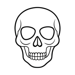  skull line art vector t shirt design
