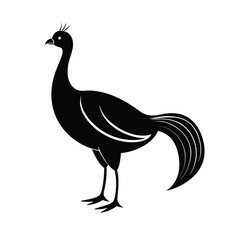superb lyrebird iconic silhouette design