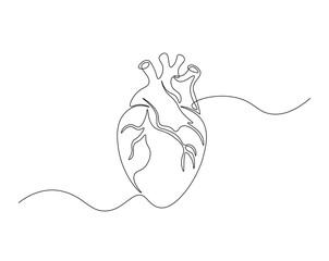 Heart, human organ outline illustration. Continuous line drawing of human heart. Health concept.