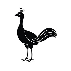 superb lyrebird iconic silhouette design