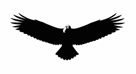Obraz premium Flying Eagle with Open Wings Vector – Silhouette for Wildlife, Freedom, and Power Symbol Concepts