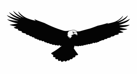 Obraz premium Flying Eagle with Open Wings Vector – Silhouette for Wildlife, Freedom, and Power Symbol Concepts