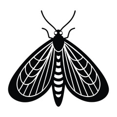 vector lacewing on white background.