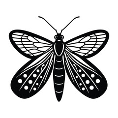 vector lacewing on white background.