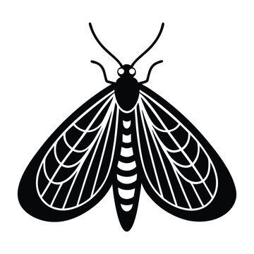 vector lacewing on white background.