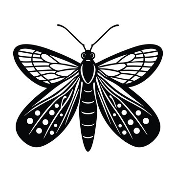 vector lacewing on white background.