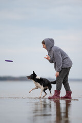 A woman wearing a hooded jacket throws a frisbee for her black and white Border Collie. They are...