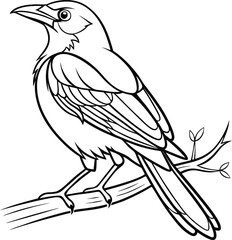 Fototapeta premium magpie bird vector for coloring page