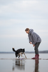 A woman throws a purple disc for her energetic black and white Border Collie. The dog is splashing...