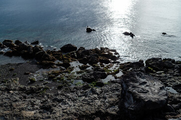 Rocky Coastal Tide Pools with Moss and Ocean on Lanzarote, Canary Islands