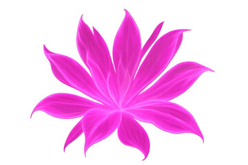 Pink lotus flower with glowing petals on a transparent background, symbolizing spiritual awakening and enlightenment