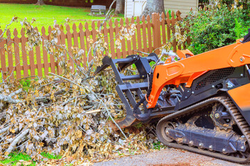 Heavy machinery removes debris fallen branches in backyard, progress using skid steer