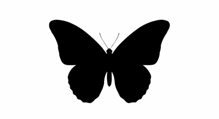 Butterfly with Open Wings Vector – Silhouette for Nature, Beauty, and Transformation Concepts

