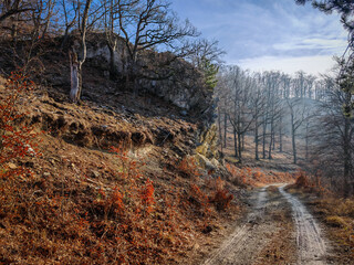 Winding forest trail beneath dramatic rock walls on the slopes of Zobó-hegyese, lit by soft winter...