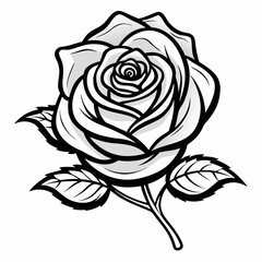 black and white rose