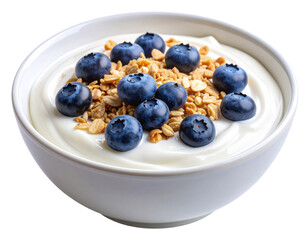 Greek Yogurt with Rolled Oats and Fresh Blueberries in White Ceramic Bowl, isolated on transparent background