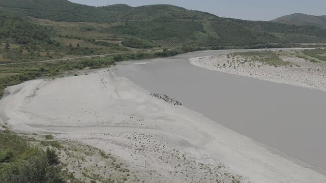 Albania - pack of goats with goatherd near river - aerial (raw - CinemaDNG)