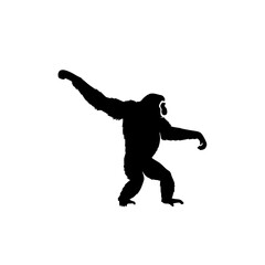 Silhouette of a Gibbon Swinging Through Trees with its Long Arms Extended