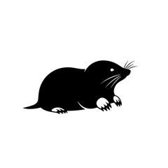 Simple Black Silhouette of a Garden Mole Facing Right with Visible Claws