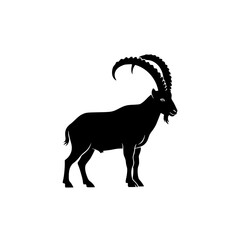 Majestic Alpine Ibex Silhouette Standing Proudly with Curved Horns on White Background