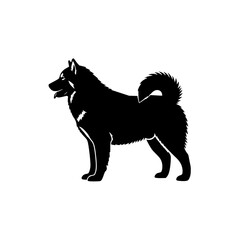 Black Silhouette of a Siberian Husky Dog Standing Proudly