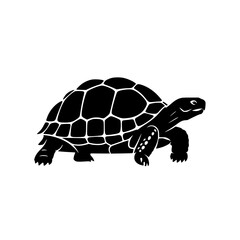 Stylized Silhouette of a Tortoise with Detailed Shell Pattern