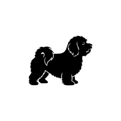 Black Silhouette of a Small Fluffy Dog Standing Proudly