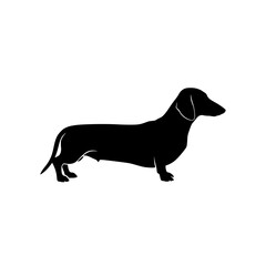Black Silhouette of a Dachshund Dog Standing on a White Background