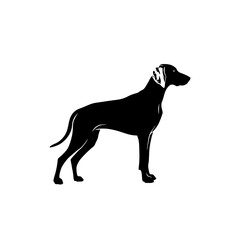 Elegant Pointer Dog Silhouette Standing Proudly Against a White Background