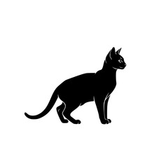 Elegant Black Cat Silhouette Standing Proudly Looking to the Side