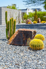 Desert landscaping in Palm Springs California