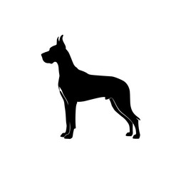 Elegant Silhouette of a Majestic Great Dane Standing Proudly