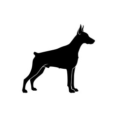 Elegant Canine Silhouette Standing Proudly A Majestic Dog Portrait