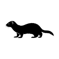 A Detailed Silhouette of a Ferret Standing Alert on a White Background