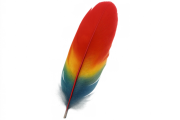 Vibrant gradient feather displaying seamless color transition from red through blue against transparent backdrop