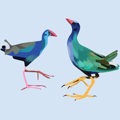 Diverse Collection of Colorful Asian Birds