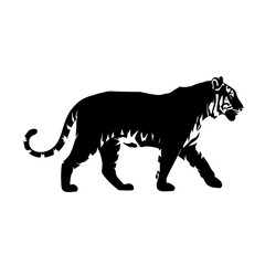 Obraz premium Majestic Tiger Silhouette Walking Gracefully Through a White Background