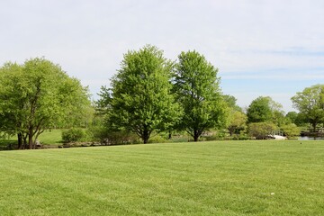 The countryside landscape on a sunny spring day.