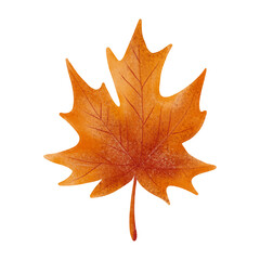 Maple leaf in warm autumn shades with soft details and textured edges. Watercolor style brings a cozy, seasonal feel perfect for fall decor, nature themes, prints, and invitations.