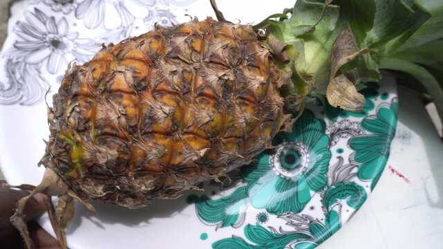 Pineapple : Pineapple is a tropical fruit with spiky skin, juicy golden flesh, rich in vitamin C, enzymes, and refreshing sweet-tart flavor