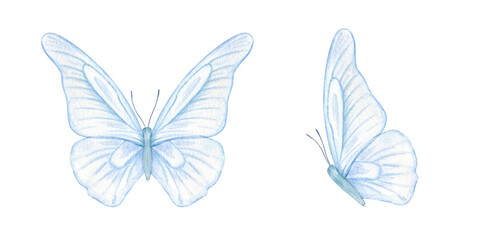 Abstract two blue butterflies with large, delicate wings watercolor illustration clip art isolated background. Ethereal and dreamy insect set for wedding stationery, fantasy themed designs