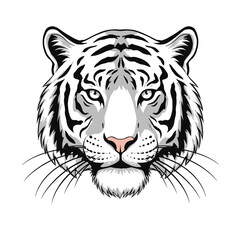 isolated, white background. White tiger head illustration in detailed monochrome style  
