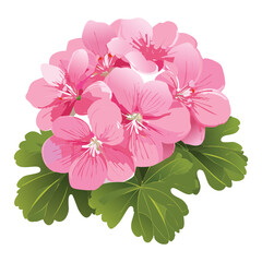 Vibrant Pink Geranium Bush with Green Foliage
