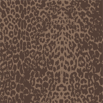Fototapeta Leopard skin pattern, animal leather seamless design