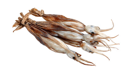 Japanese dried squid isolated on a white background