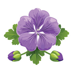 Pretty Purple Geranium Flower with Delicate Petals © color