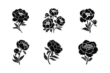Black peony flower silhouettes bundle bloom blossom