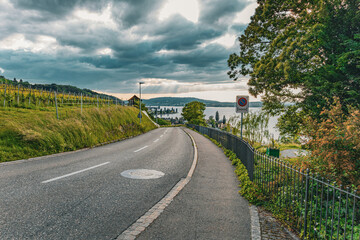 Fototapeta premium Beautiful scenic road descending towards Lake Constance, surrounded by lush vineyards, trees, and dramatic cloudy sky in Switzerland.