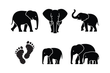 Obraz premium Silhouette Elephants And Footprints Bundle baby elephant mother elephant
